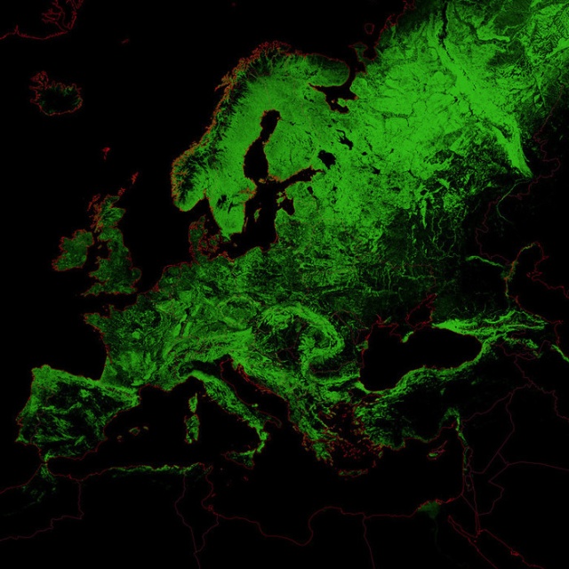 Forests Of The World (25 pics) Forests Of The World (25 pics)