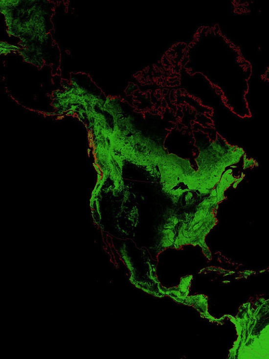 Forests Of The World (25 pics) Forests Of The World (25 pics)