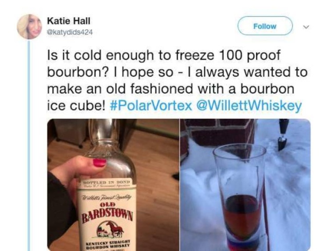 Polar Vortex 2019 Memes (23 pics)