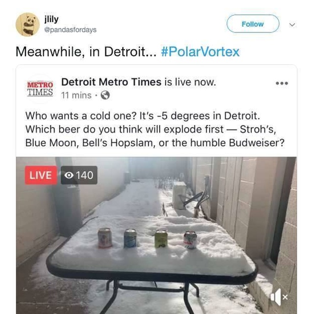 Polar Vortex 2019 Memes (23 pics)