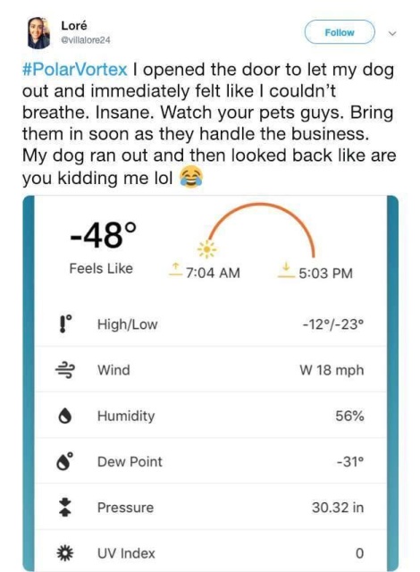 Polar Vortex 2019 Memes (23 pics)