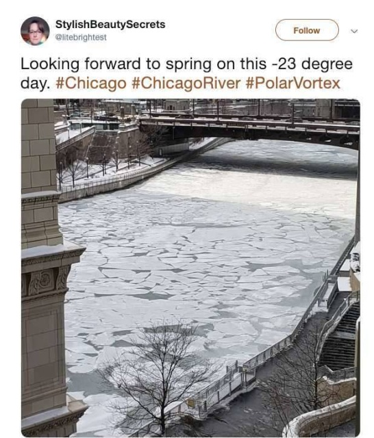 Polar Vortex 2019 Memes (23 pics)