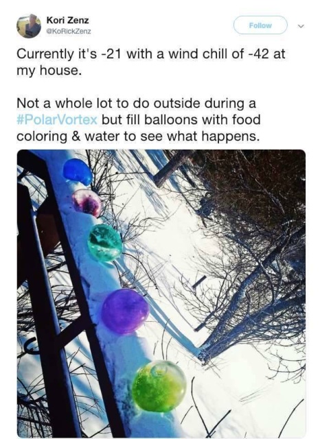 Polar Vortex 2019 Memes (23 pics)