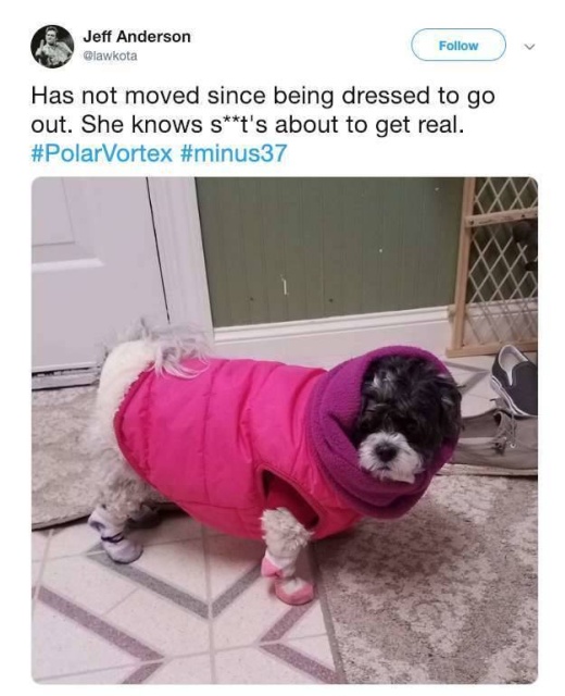 Polar Vortex 2019 Memes (23 pics)