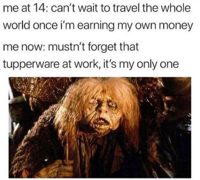 So True (39 pics)