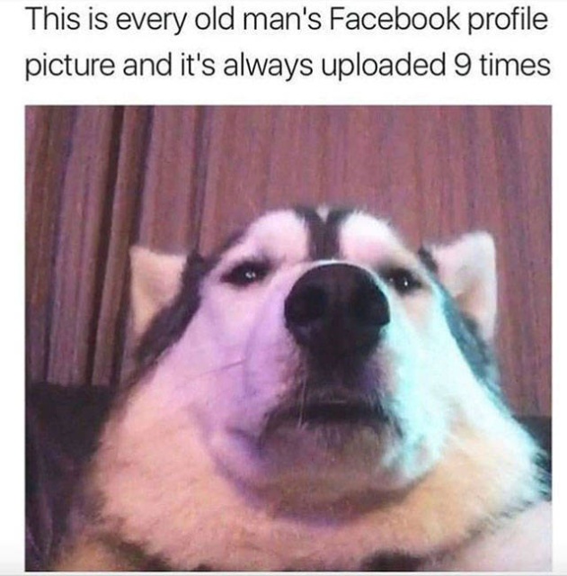 So True (39 pics)