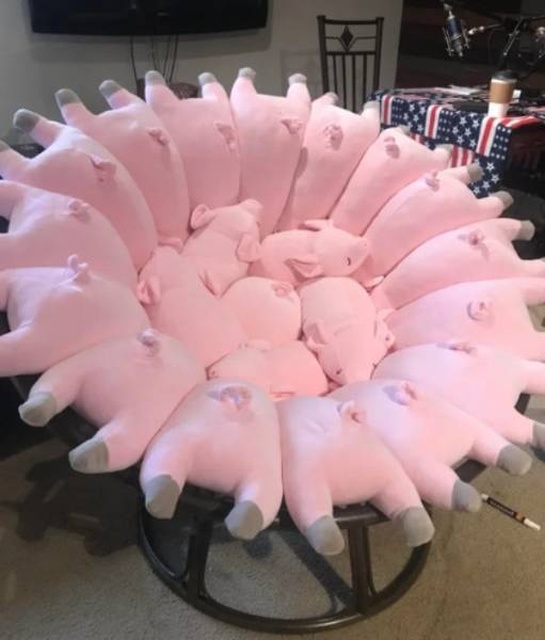 Looks Weird But Also Good (31 pics)