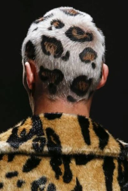 Looks Weird But Also Good (31 pics)