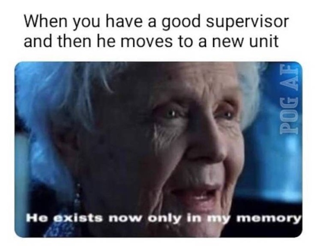 Military Memes (35 pics)