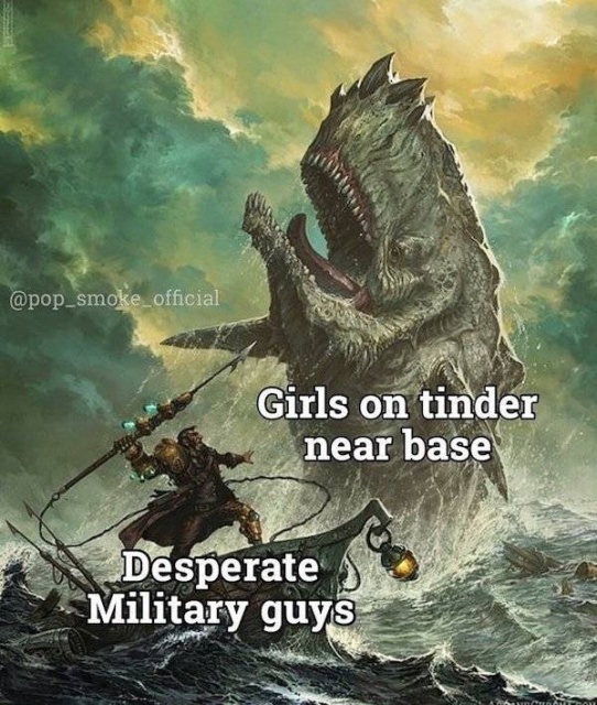 Military Memes (35 pics)