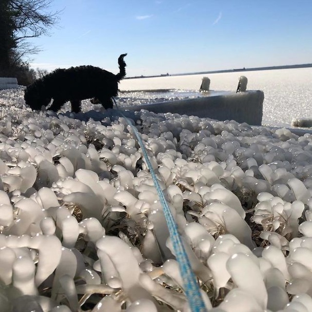 Polar Vortex 2019 (33 pics)