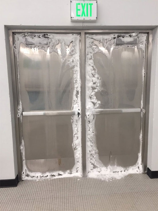Polar Vortex 2019 (33 pics)