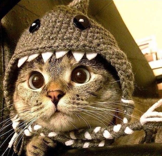 Acid Picdump (98 pics)