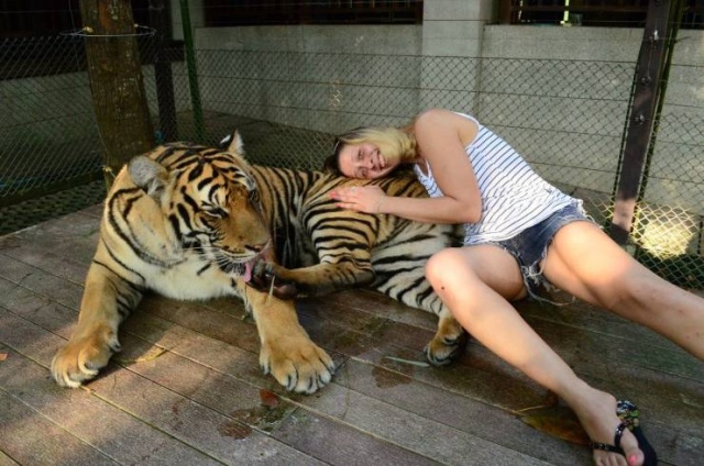 Acid Picdump (98 pics)