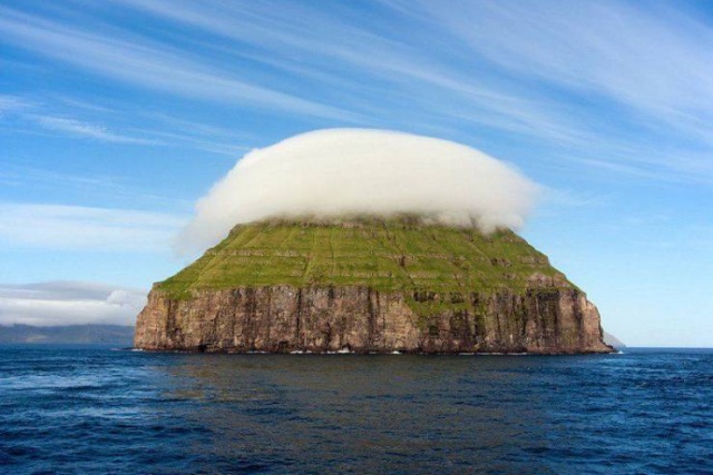 Acid Picdump (98 pics)