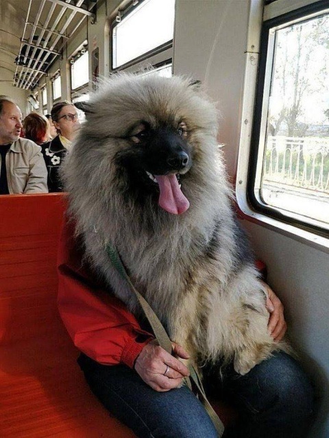 Acid Picdump (98 pics)