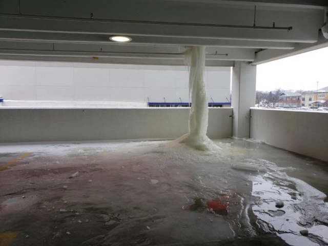 Acid Picdump (98 pics)