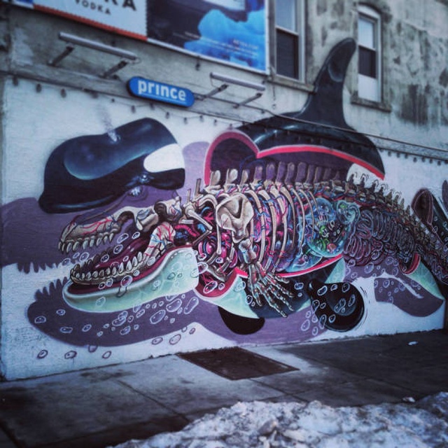 Acid Picdump (98 pics)