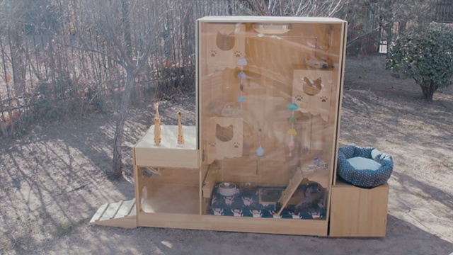 Chinese Engineer Builds An AI-Powered Shelter For Stray Cats That Has A Facial Recognition System (4 pics)