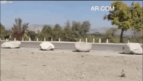 Parkour Dogs (18 gifs)