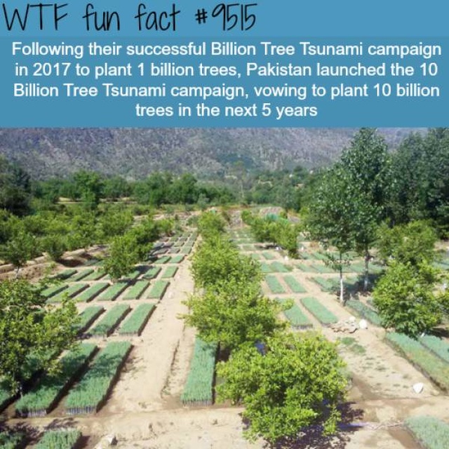 Interesting Facts (27 pics)