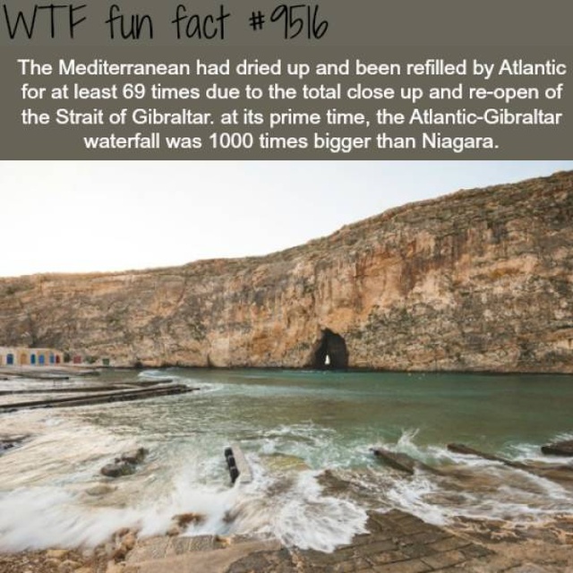 Interesting Facts (27 pics)