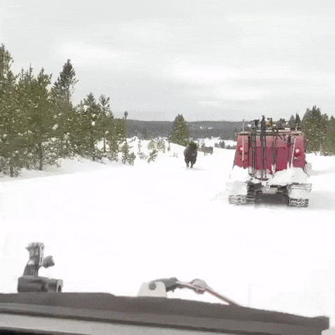 Acid Gifdump, February 6 (25 gifs)