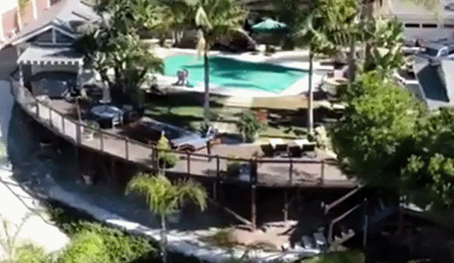 Acid Gifdump, February 6 (25 gifs)
