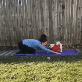 Acid Gifdump, February 6 (25 gifs)