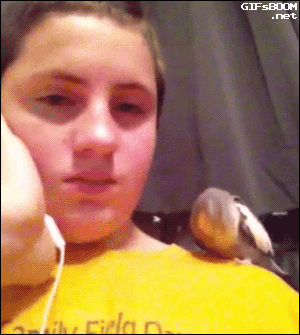 Acid Gifdump, February 6 (25 gifs)