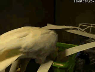 Acid Gifdump, February 6 (25 gifs)