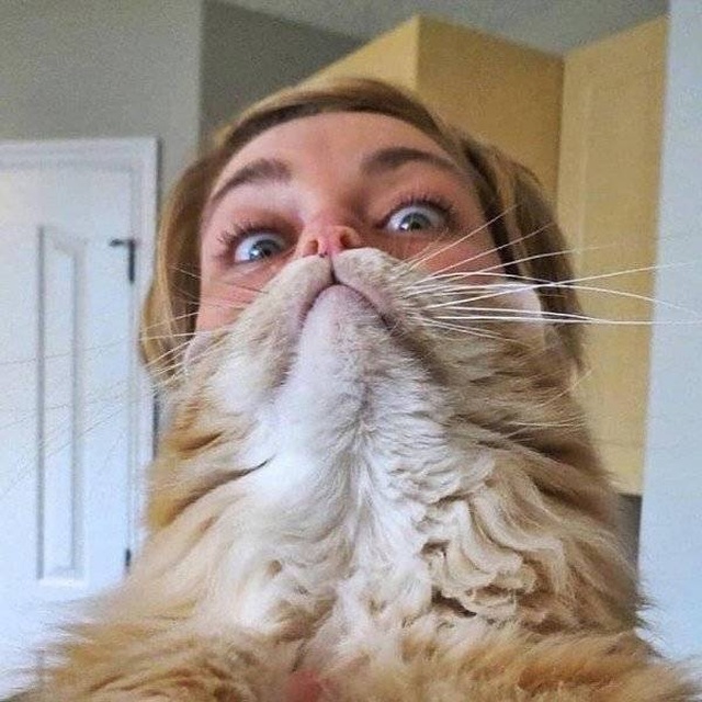 Just Awesome (44 pics)