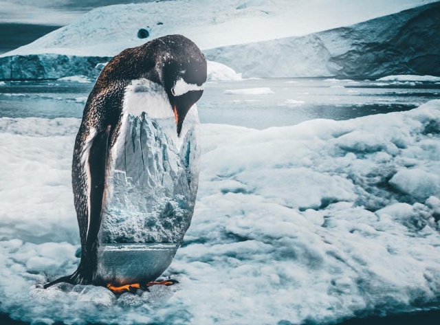 Photo Manipulations By Sergio de Lamo (42 pics)