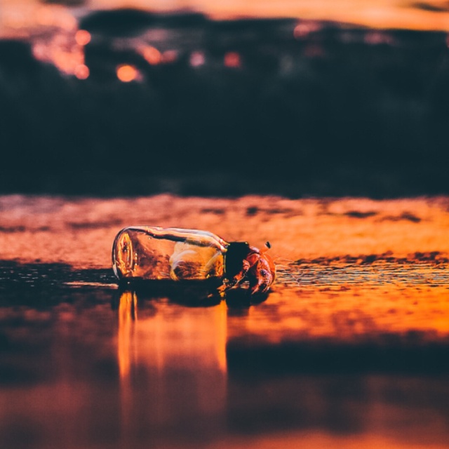 Photo Manipulations By Sergio de Lamo (42 pics)