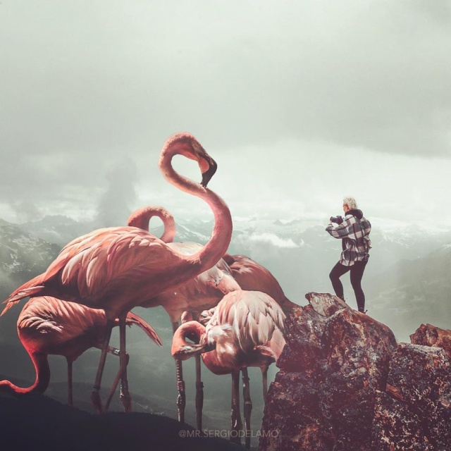 Photo Manipulations By Sergio de Lamo (42 pics)