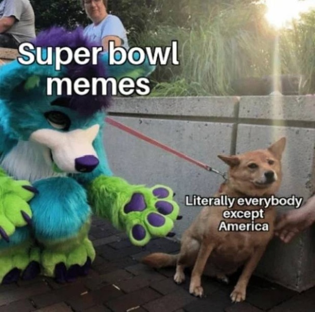 Super Bowl Memes (28 pics)