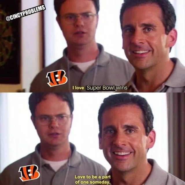 Super Bowl Memes (28 pics)