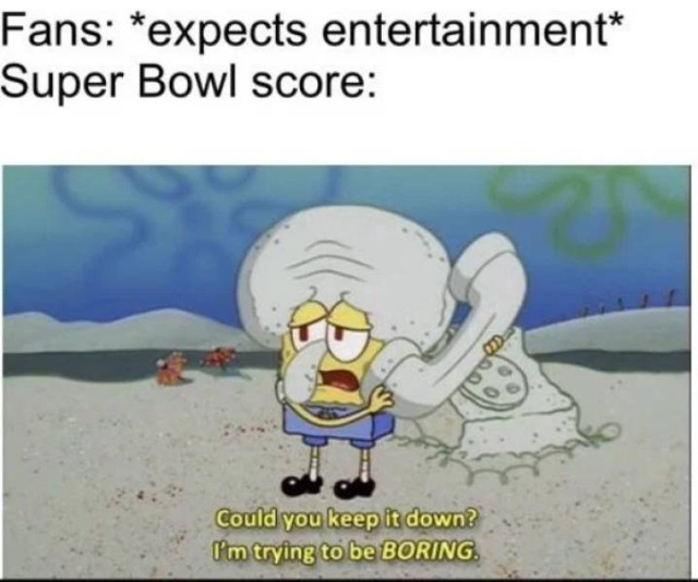 Super Bowl Memes (28 pics)