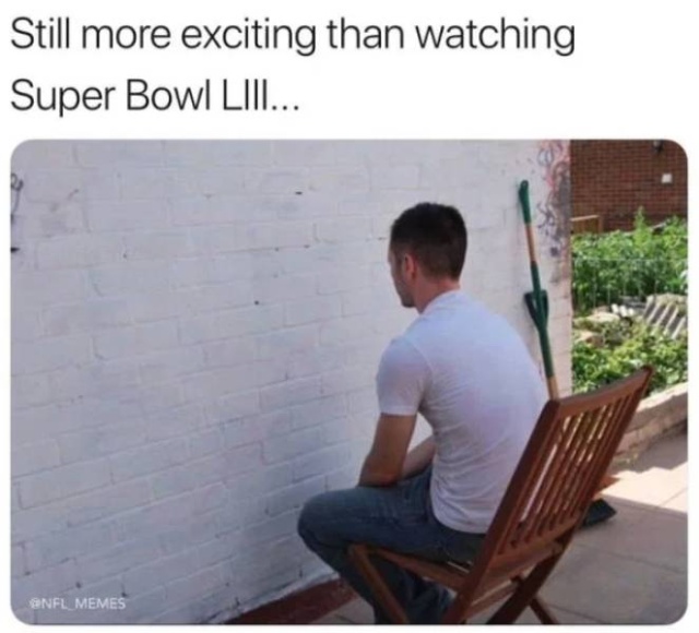 Super Bowl Memes (28 pics)