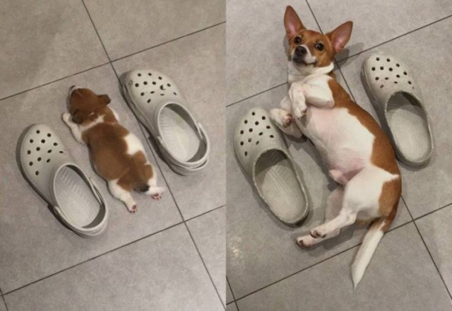 Acid Picdump (89 pics)