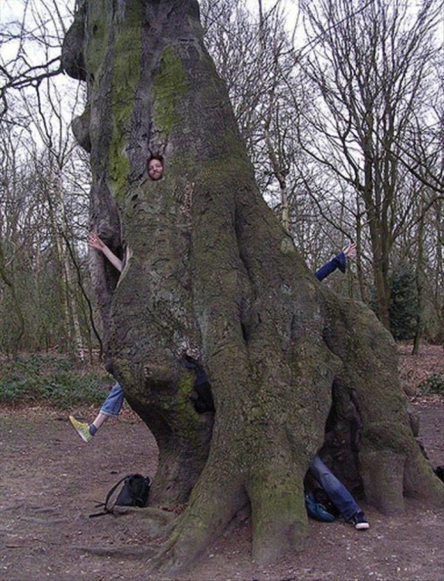 Acid Picdump (89 pics)