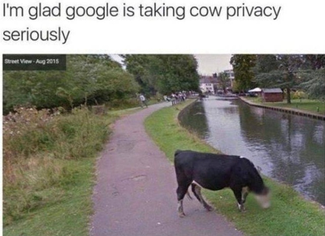 Try To Explain This (46 pics)