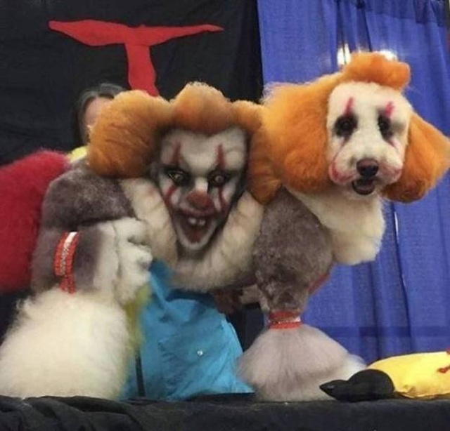 Try To Explain This (46 pics)