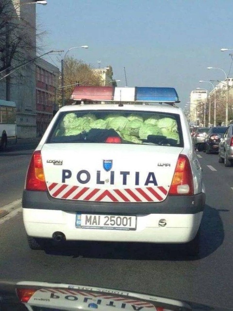 Try To Explain This (46 pics)