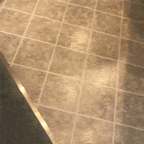 Your Dog Is Not Responding (31 pics)