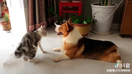 Acid Gifdump, February 7 (25 gifs)