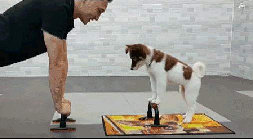 Acid Gifdump, February 7 (25 gifs)