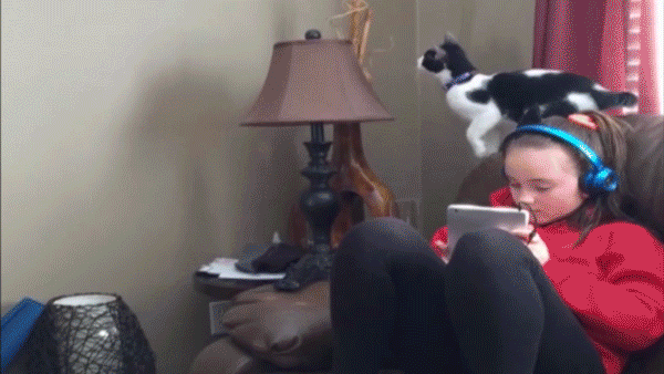 Acid Gifdump, February 7 (25 gifs)