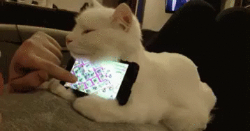 Acid Gifdump, February 7 (25 gifs)