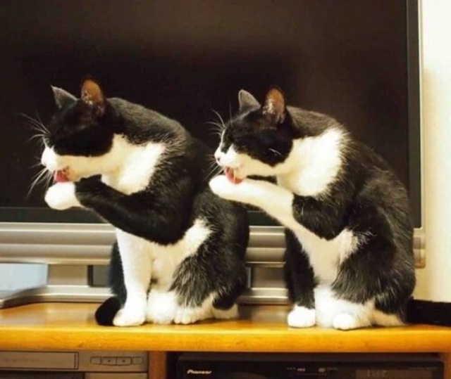 Welcome To The Matrix (40 pics)